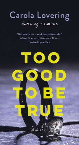 Too Good to Be True de Carola Lovering