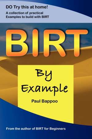 Birt by Example de Paul Bappoo