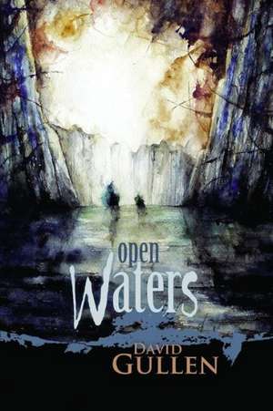 Open Waters de David Gullen