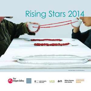 Rising Stars 2014 de New Ashgate Gallery