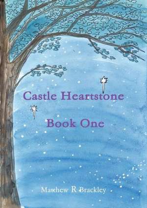 Castle Heartstone Book One de Matthew R. Brackley