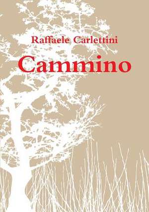 Cammino de Raffaele Carlettini