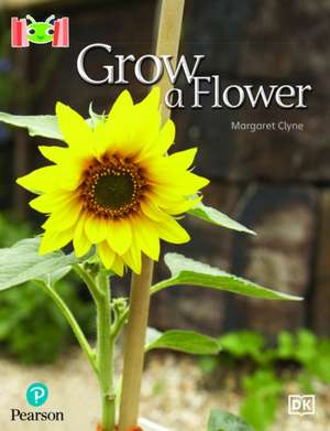 Bug Club Reading Corner: Age 4-7: Grow a Flower de Margaret Clyne