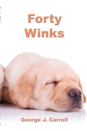 Forty Winks de George J. Carroll