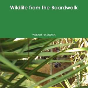 Wildlife from the Boardwalk de William Holcomb