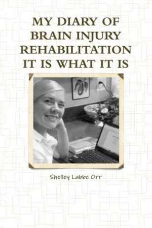 My Diary of Brain Injury Rehabilitation It Is What It Is de Shelley Labbe Orr