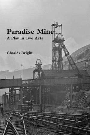 Paradise Mine de Charles Bright