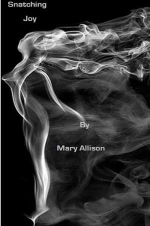 Snatching Joy de Mary Allison