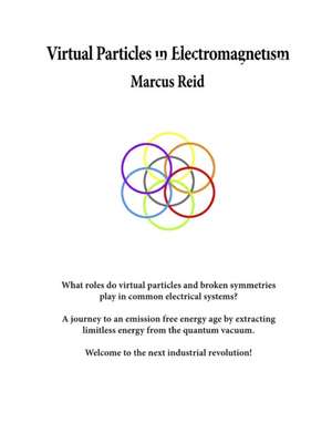 Virtual Particles in Electromagnetism de Marcus Reid