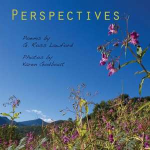 Perspectives de Karen Godbout