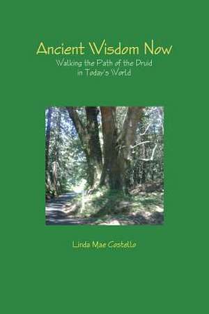 Ancient Wisdom Now de Linda Mae Costello