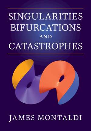 Singularities, Bifurcations and Catastrophes de James Montaldi