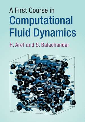 A First Course in Computational Fluid Dynamics de H. Aref