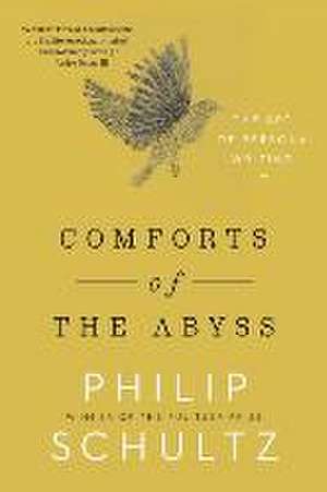 Comforts of the Abyss – The Art of Persona Writing de Philip Schultz