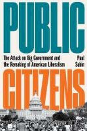 Public Citizens – The Attack on Big Government and the Remaking of American Liberalism de Paul Sabin