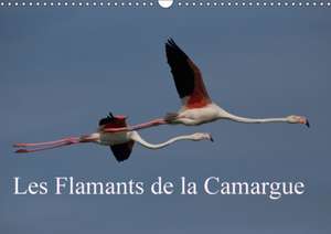 Les Flamants de la Camargue (Calendrier mural 2017 DIN A3 horizontal) de Photo Pirsch