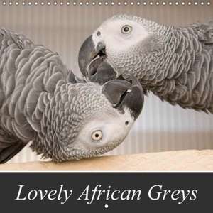 Lovely African Greys (Wall Calendar 2018 300 × 300 mm Square) de Nadine Keller