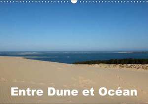 Entre Dune et Océan (Calendrier mural 2018 DIN A3 horizontal) de Alain Hanel - Photographies