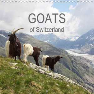 Goats of Switzerland (Wall Calendar 2018 300 × 300 mm Square) de Melanie Weber www. tiefblicke. ch