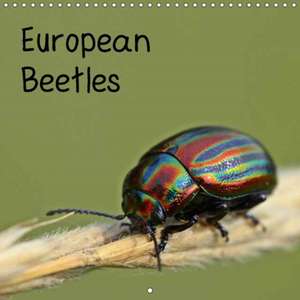 European Beetles (Wall Calendar 2018 300 × 300 mm Square) de Christine Schmutzler-Schaub