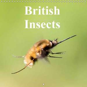 British Insects (Wall Calendar 2018 300 × 300 mm Square) de Peter Garner