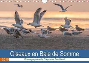 Oiseaux en Baie de Somme (Calendrier mural 2018 DIN A4 horizontal) de Stéphane Bouilland