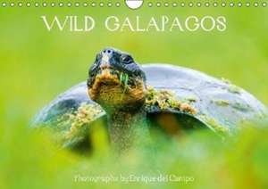 WILD GALAPAGOS (Wall Calendar 2018 DIN A4 Landscape) de Enrique Del Campo