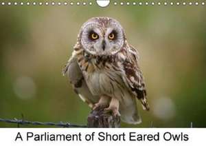 A Parliament of Short Eared Owls (Wall Calendar 2018 DIN A4 Landscape) de Lister Cumming