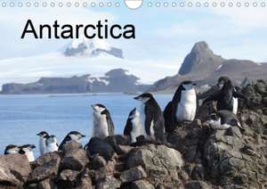 Antarctica (UK - Version) (Wall Calendar 2020 DIN A4 Landscape) de Roland Brack