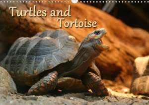 Turtles and Tortoise / UK-Version (Wall Calendar 2020 DIN A3 Landscape) de Barbara Mielewczyk