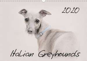 Italian Greyhounds 2020 (Wall Calendar 2020 DIN A3 Landscape) de Andrea Redecker