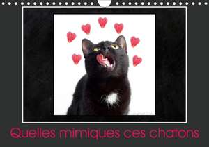 Quelles mimiques ces chatons (Calendrier mural 2020 DIN A4 horizontal) de Kathy Mahevo