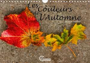 Les couleurs de l'Automne (Calendrier mural 2020 DIN A4 horizontal) de Jessica Seidler