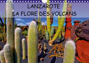 LANZAROTE LA FLORE DES VOLCANS (Calendrier mural 2020 DIN A4 horizontal) de Jean-Luc Bohin