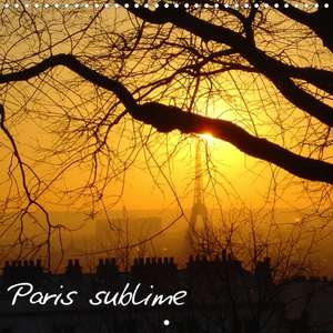 Paris sublime (Calendrier mural 2020 300 × 300 mm Square) de Rafael Polteaux