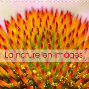 La nature en images (Calendrier mural 2020 300 × 300 mm Square) de David Yaffee