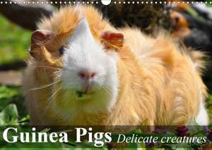 Guinea Pigs Delicate creatures (Wall Calendar 2020 DIN A3 Landscape) de Elisabeth Stanzer