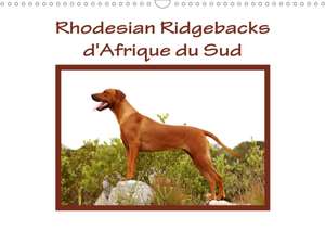 Rhodesian Ridgebacks d'Afrique du Sud (Calendrier mural 2020 DIN A3 horizontal) de Anke van Wyk - www. germanpix. net