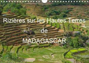 Rizières sur les Hautes Terres de Madagascar (Calendrier mural 2020 DIN A4 horizontal) de Francis Goussard