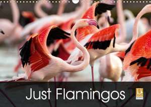 Just Flamingos (Wall Calendar 2020 DIN A3 Landscape) de k. A. Dalyn