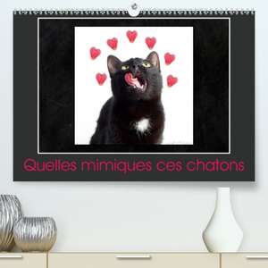 Quelles mimiques ces chatons(Premium, hochwertiger DIN A2 Wandkalender 2020, Kunstdruck in Hochglanz) de Kathy Mahevo