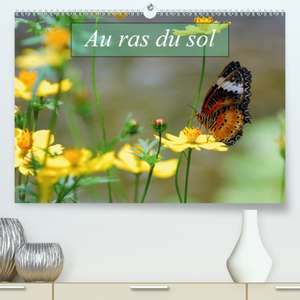 Au ras du sol(Premium, hochwertiger DIN A2 Wandkalender 2020, Kunstdruck in Hochglanz) de Alain Gaymard