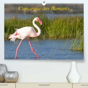 Camargue des flamants(Premium, hochwertiger DIN A2 Wandkalender 2020, Kunstdruck in Hochglanz) de Henry Ausloos