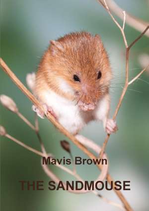 The Sandmouse de Mavis Brown