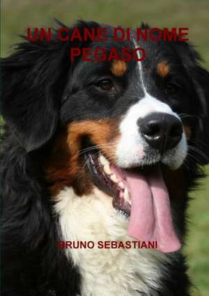 Un Cane Di Nome Pegaso de Bruno Sebastiani