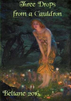 Three Drops from a Cauldron de Kate Garrett