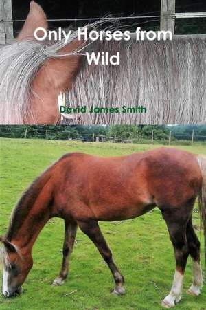 Only Horses from Wild de David James Smith