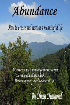 Abundance How to Create and Sustain a Meaningful Life de Dyan Diamond