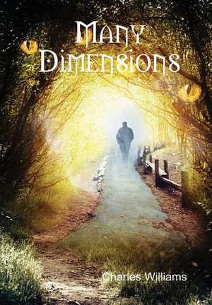 Many Dimensions de Charles Williams