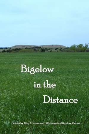 Bigelow in the Distance de Mary Gerstner